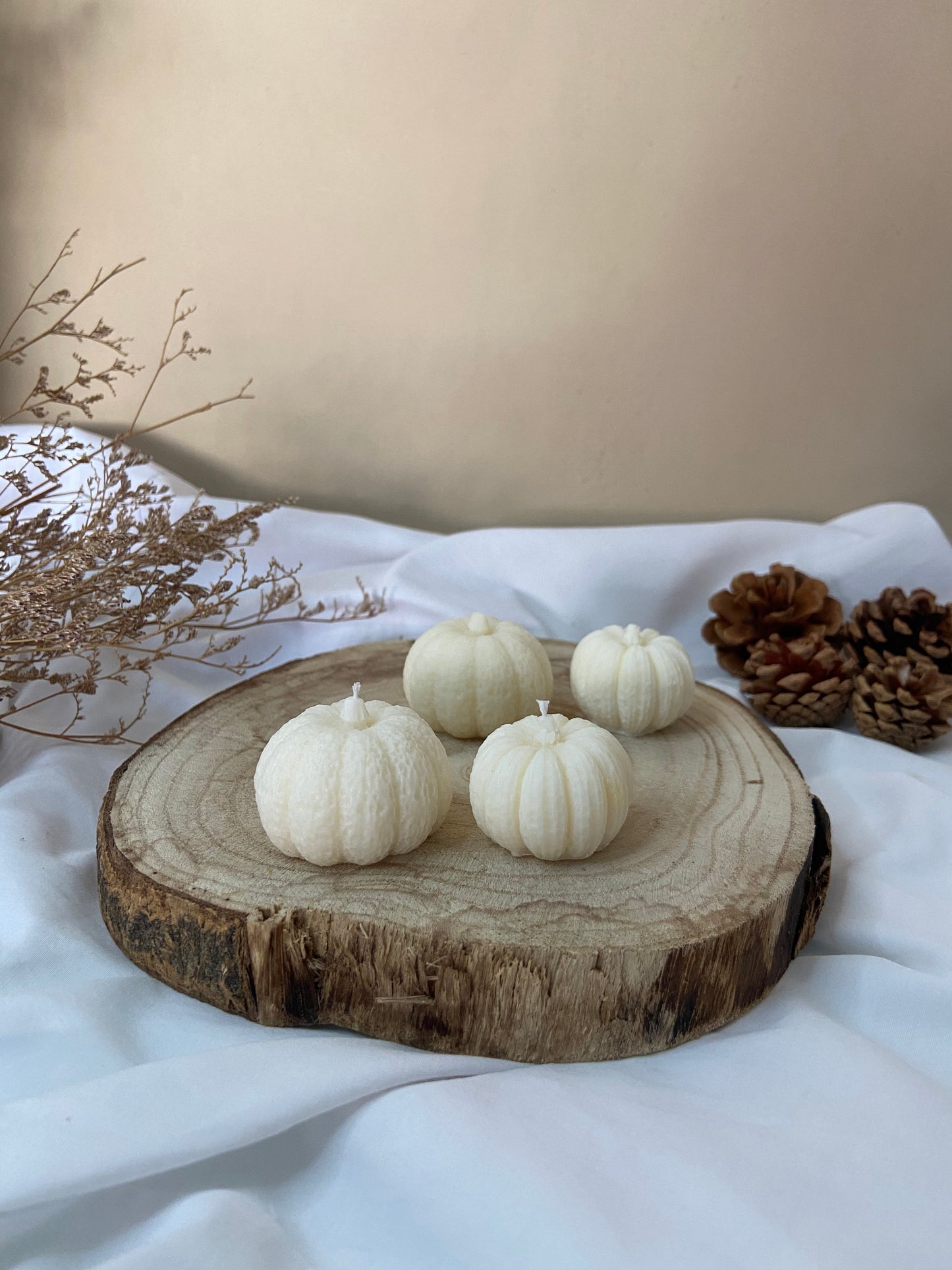 Little PUMPKIN